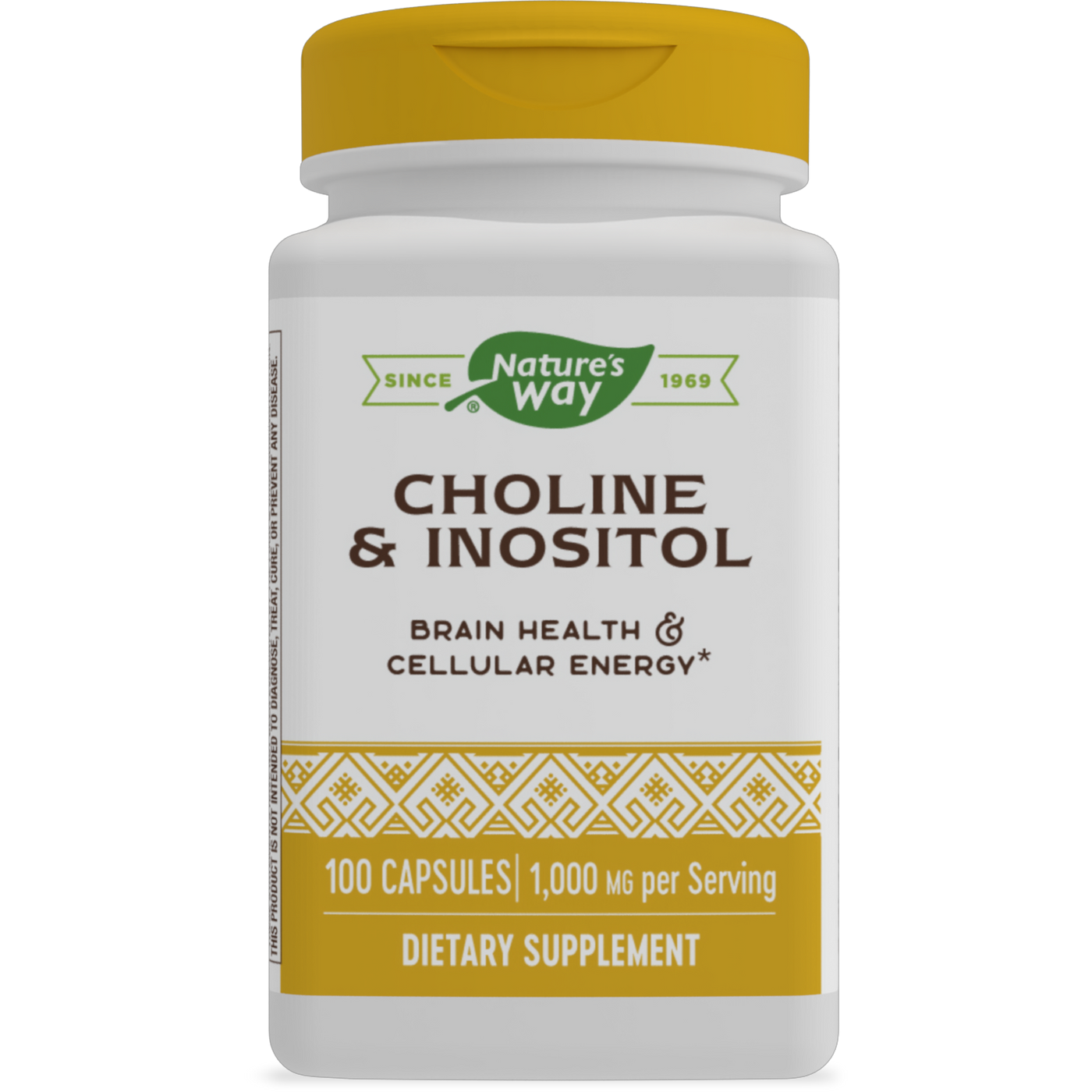 Choline & Inositol 500 mg  Curated Wellness