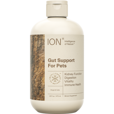 ION* Gut Support for Pets 16 fl oz Curated Wellness