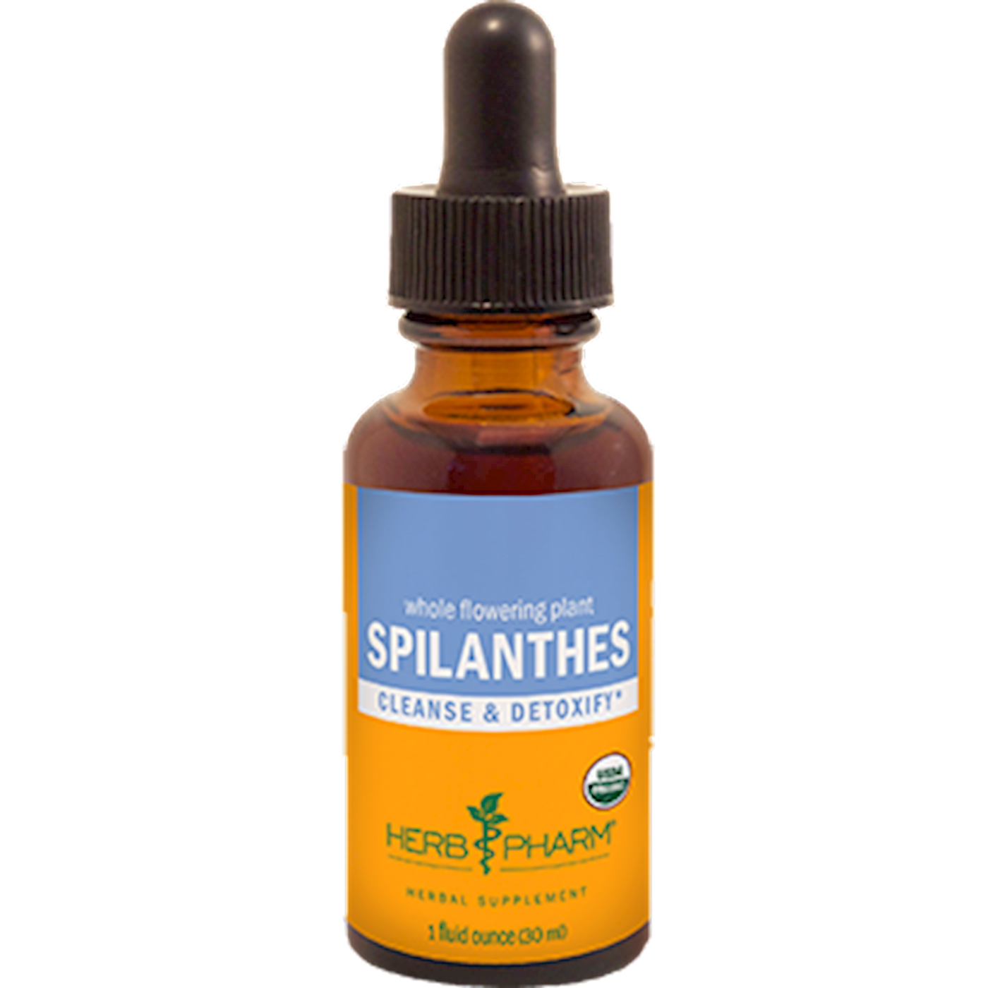 Spilanthes  Curated Wellness