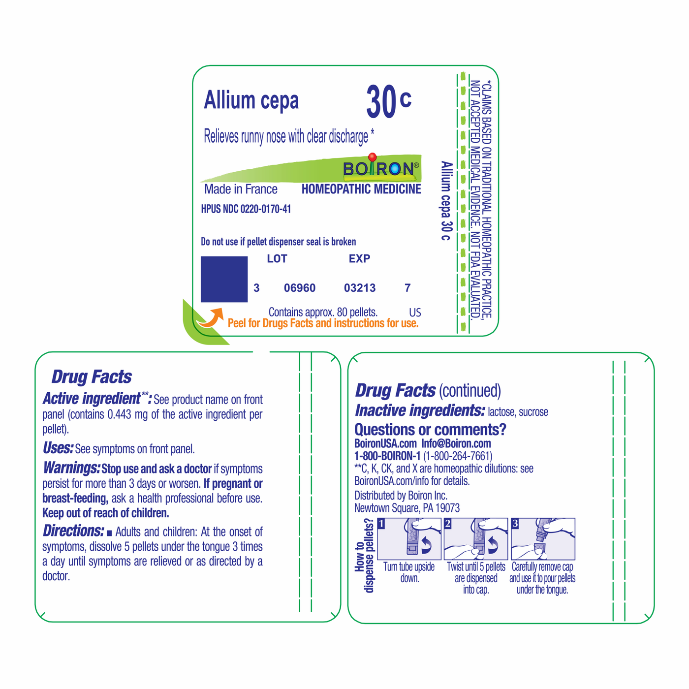 Allium cepa 30C 80 plts Curated Wellness