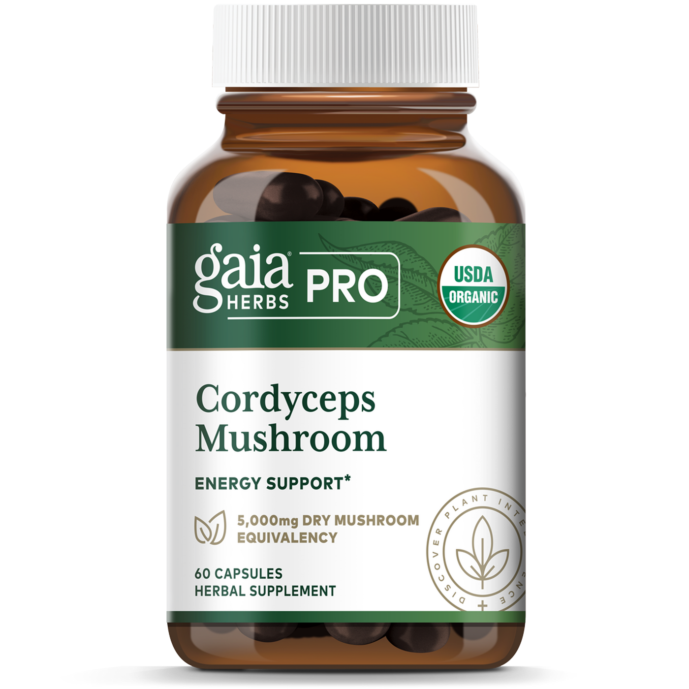 Cordyceps Mushroom  Curated Wellness