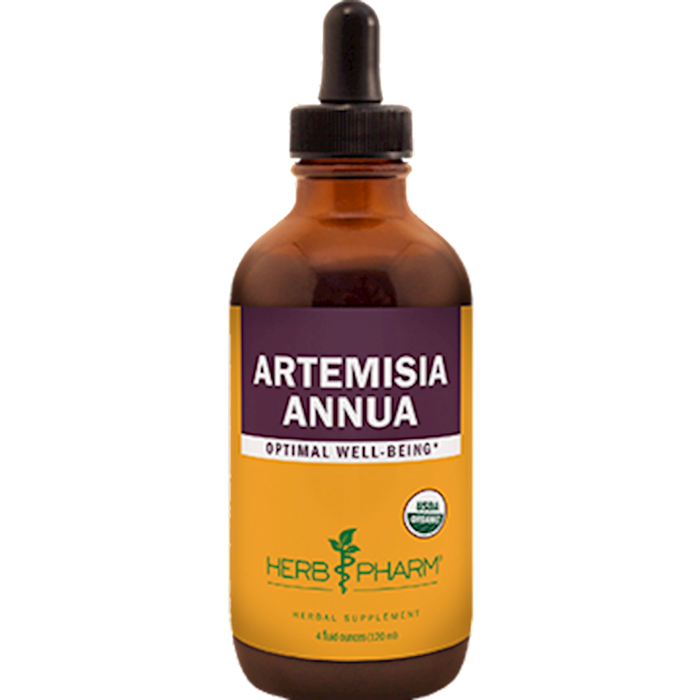 Artemisia annua  Curated Wellness