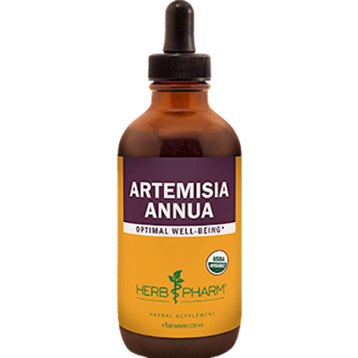 Artemisia annua  Curated Wellness