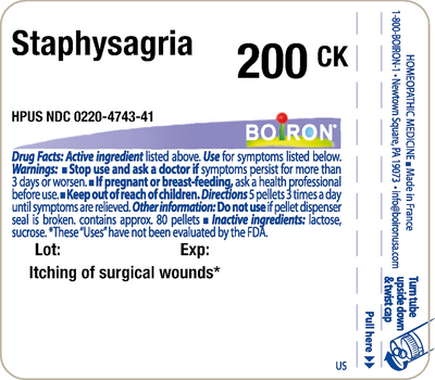 Staphysagria 200CK 80 plts Curated Wellness