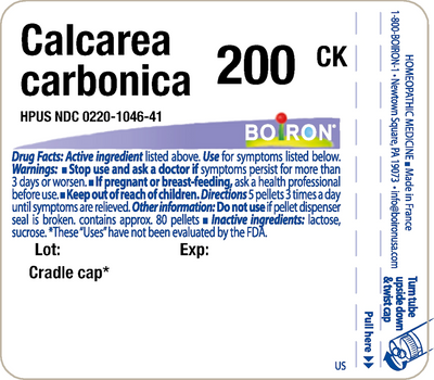 Calcarea carbonica 200CK 80 plts Curated Wellness