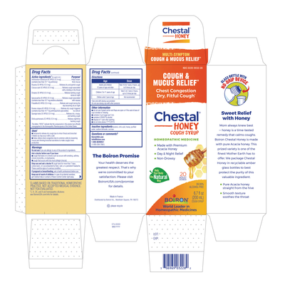 Chestal Adult Cough Honey  Curated Wellness