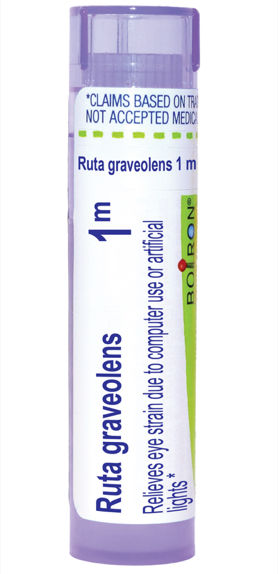 Ruta graveolens 1M 80 plts Curated Wellness