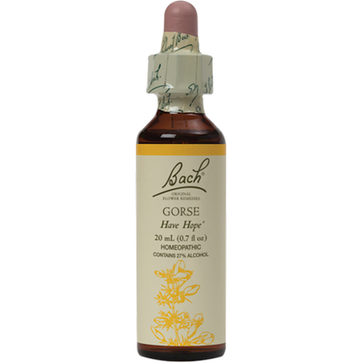 Gorse Flower Essence  Curated Wellness