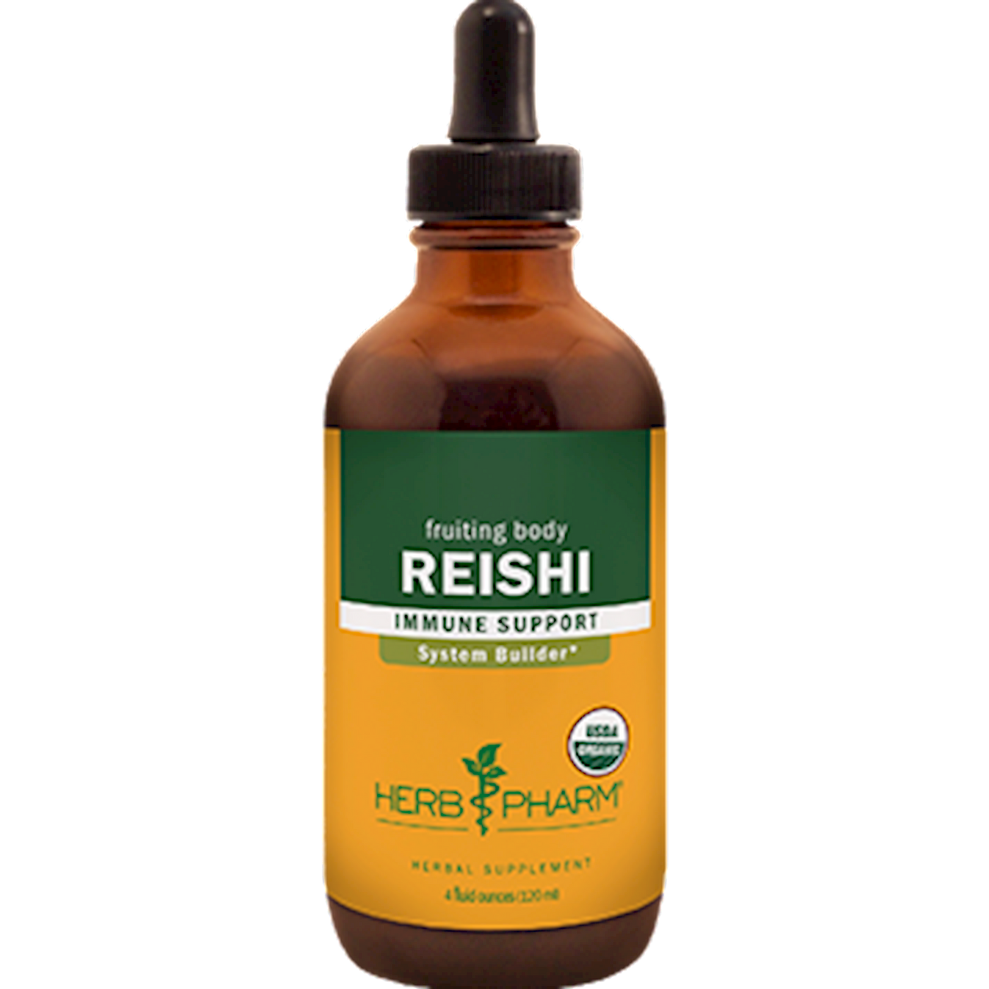 Reishi  Curated Wellness