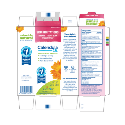 Calendula Gel  Curated Wellness