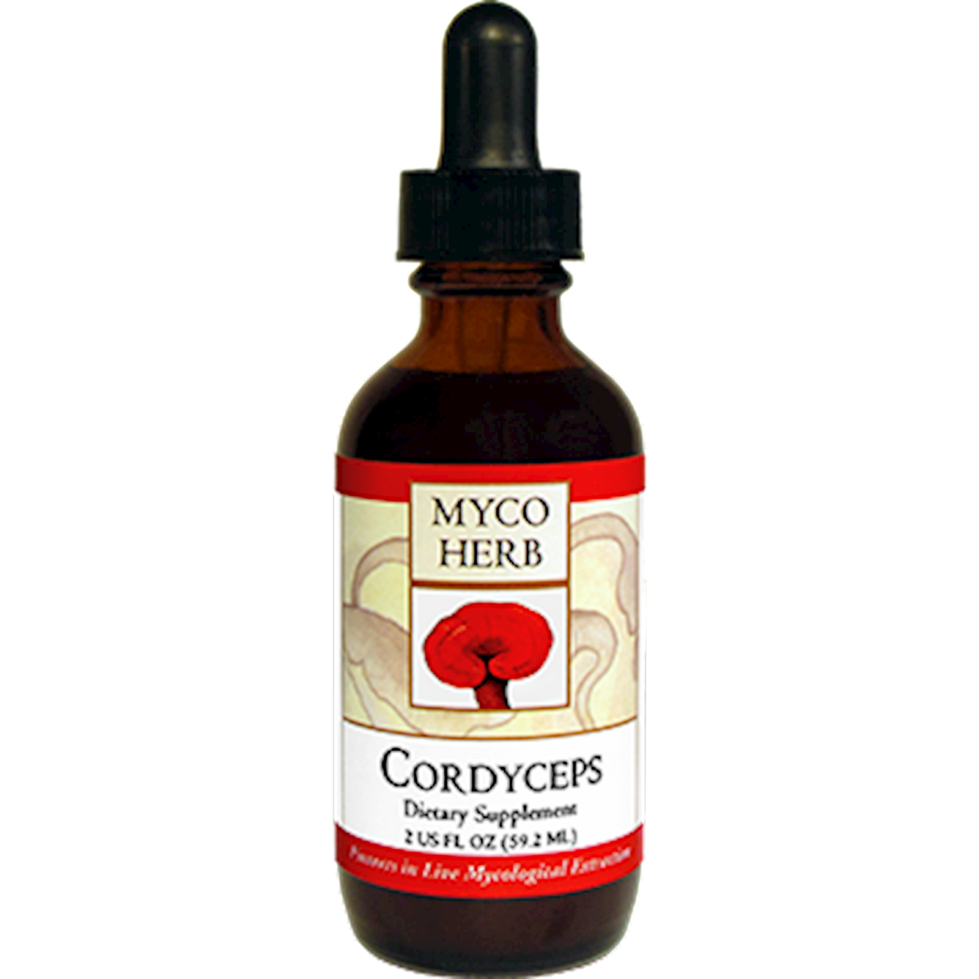 Cordyceps  Curated Wellness