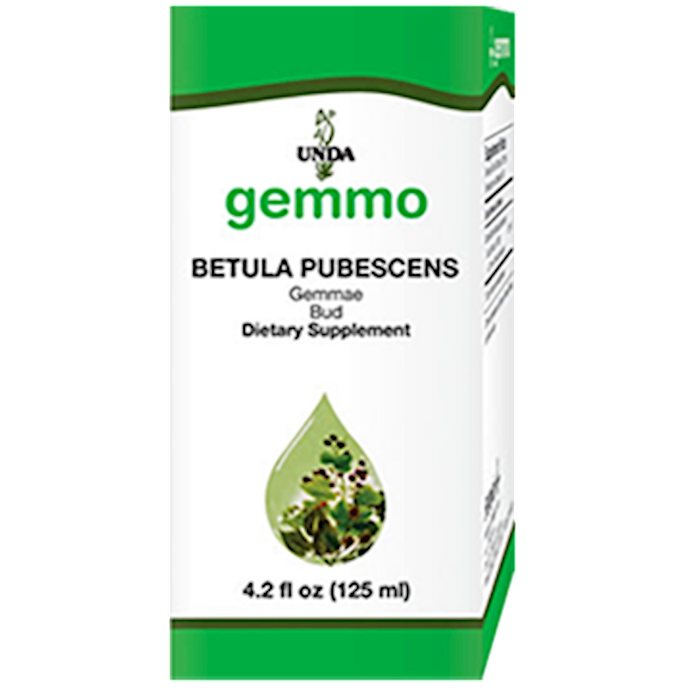 Betula Pubescens (bud)  Curated Wellness