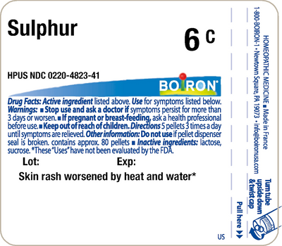 Sulphur 6C 80 plts Curated Wellness