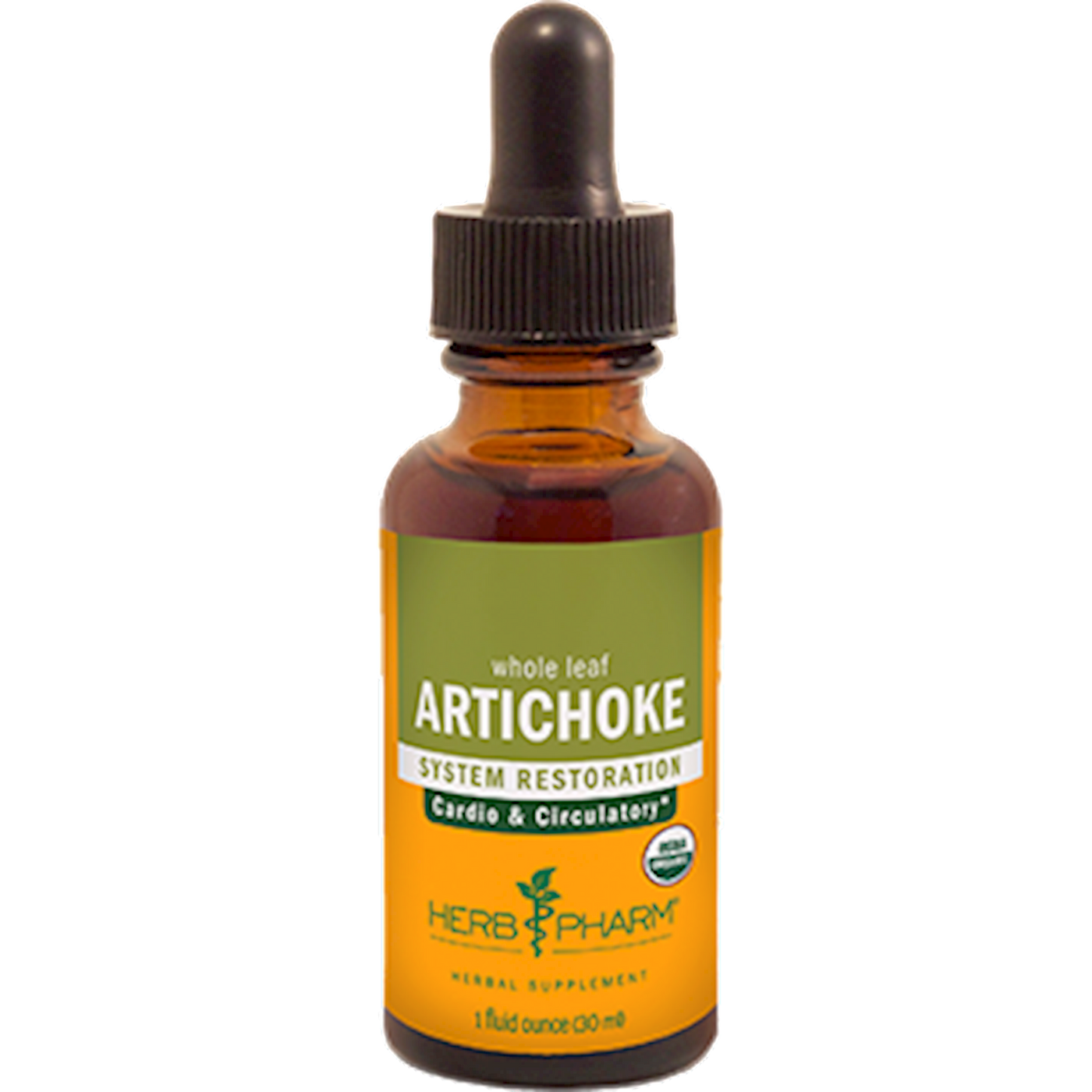 Artichoke  Curated Wellness