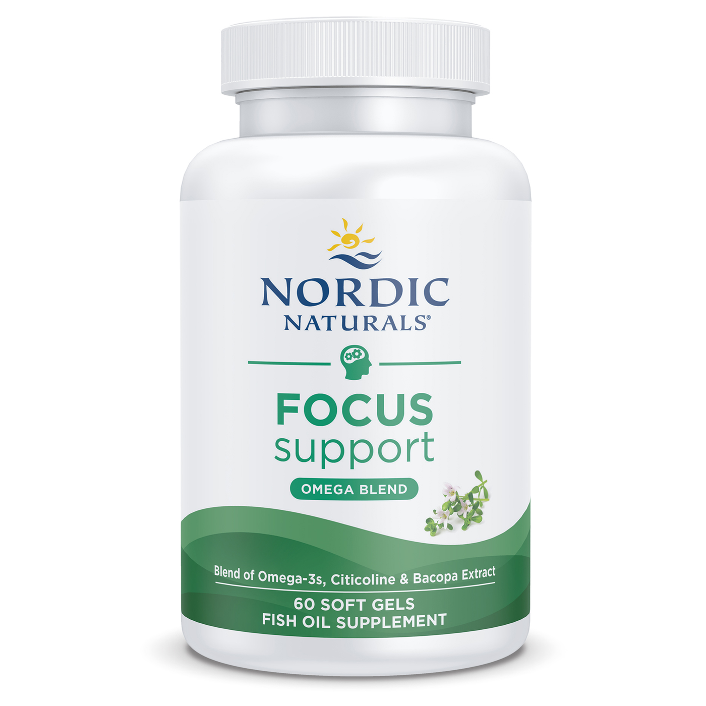 Focus Support  Curated Wellness