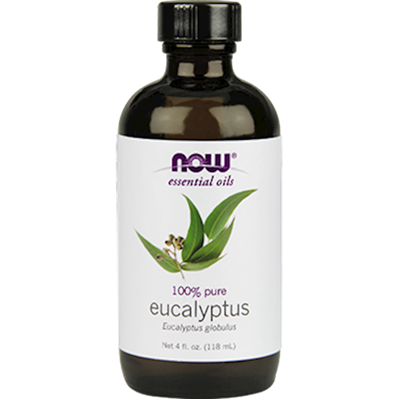 Eucalyptus Oil 4oz Curated Wellness