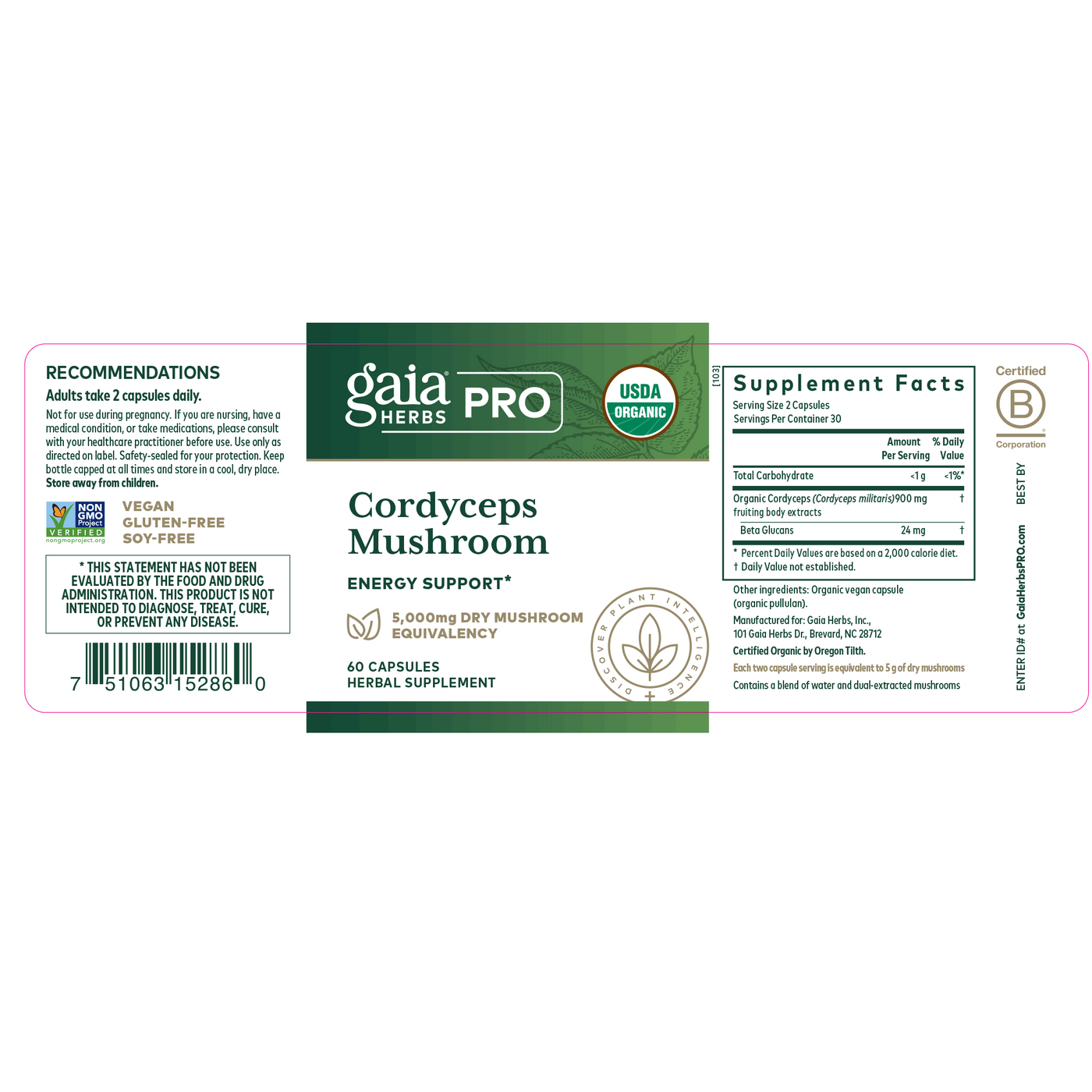 Cordyceps Mushroom  Curated Wellness