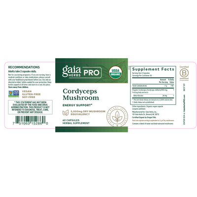 Cordyceps Mushroom  Curated Wellness