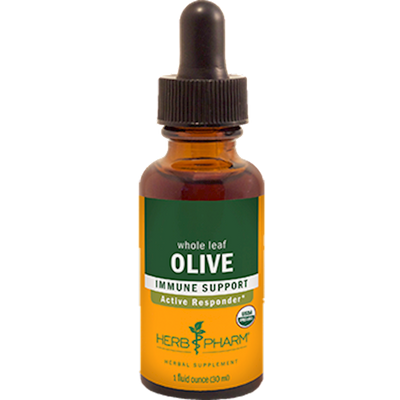 Olive Leaf  Curated Wellness