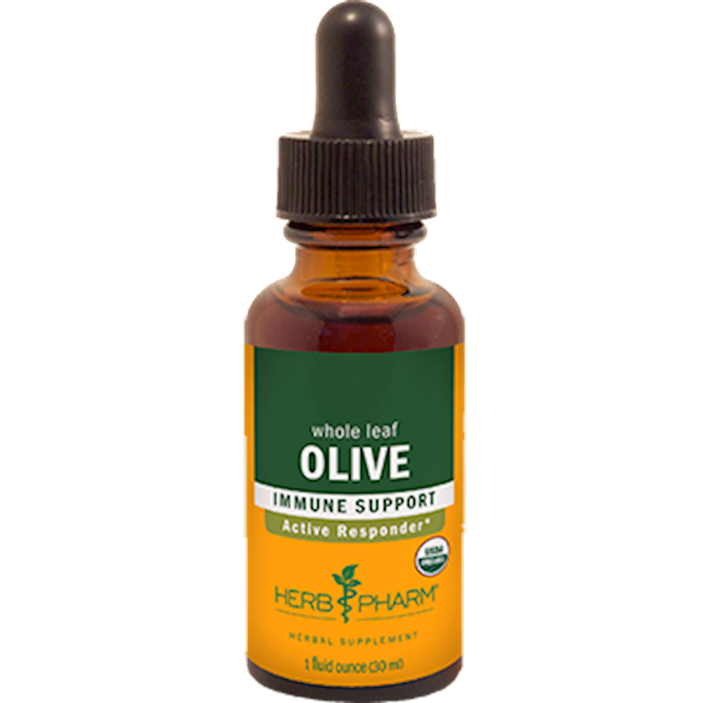 Olive Leaf  Curated Wellness