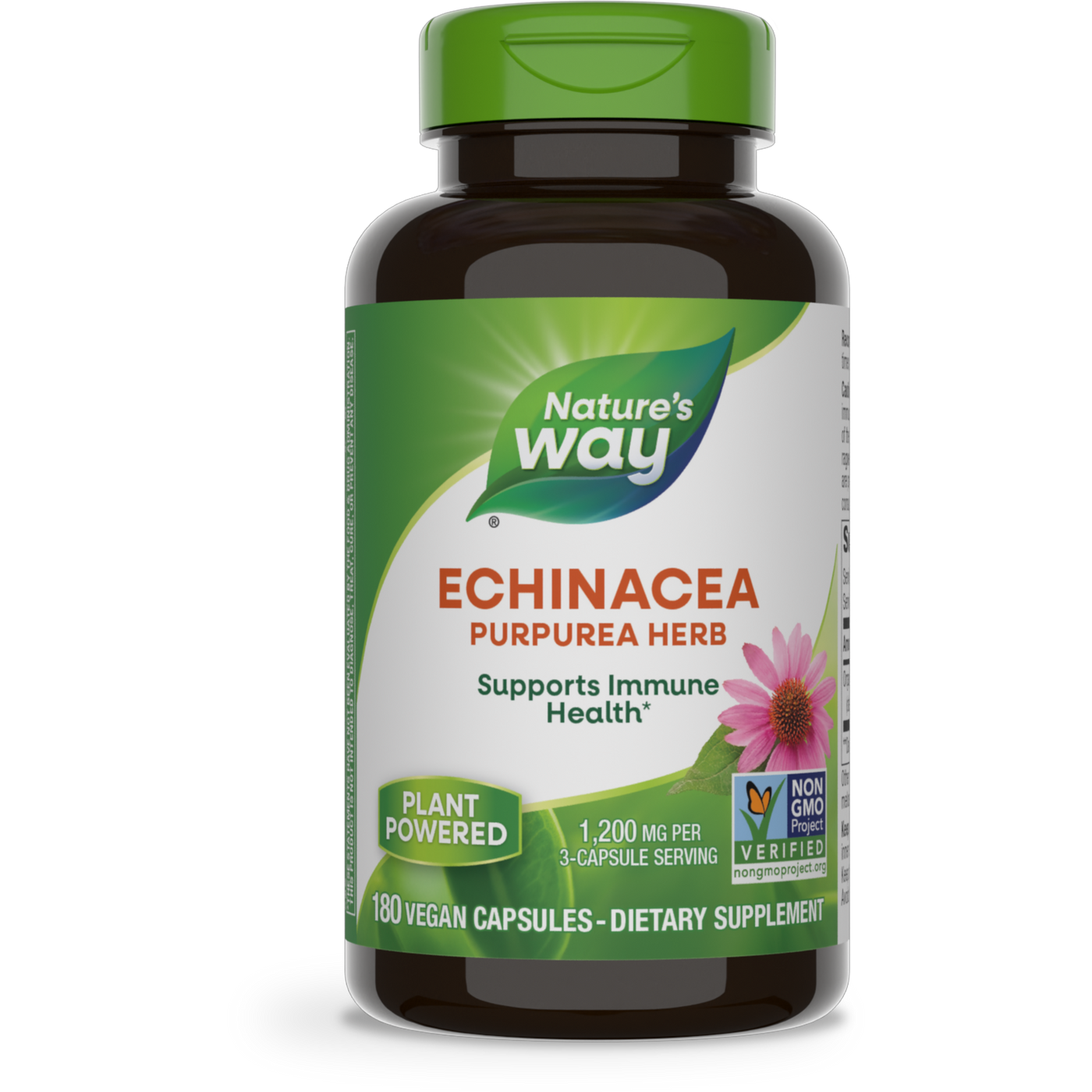 Echinacea 400 mg  Curated Wellness