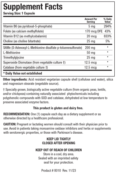 SAMethylate Plus™