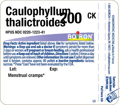 Caulophyllum thalictroides 200CK 80 plts Curated Wellness