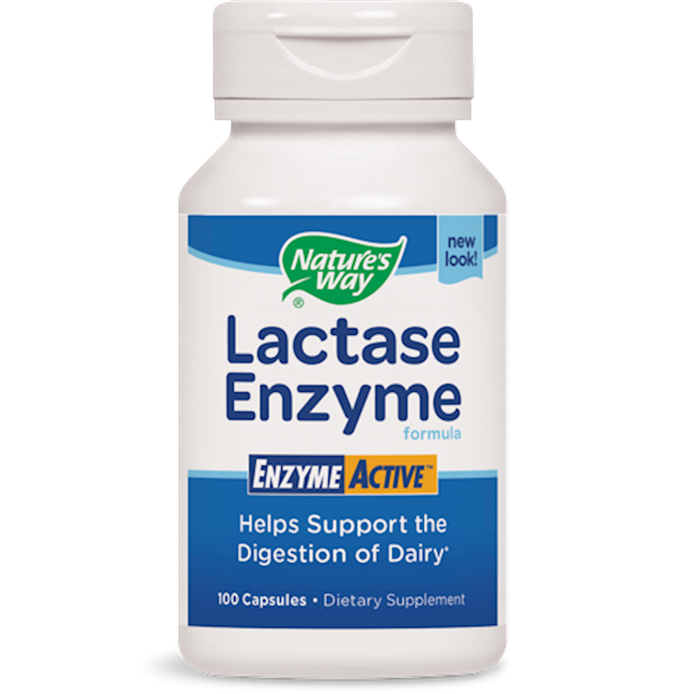 Lactase Enzyme  Curated Wellness