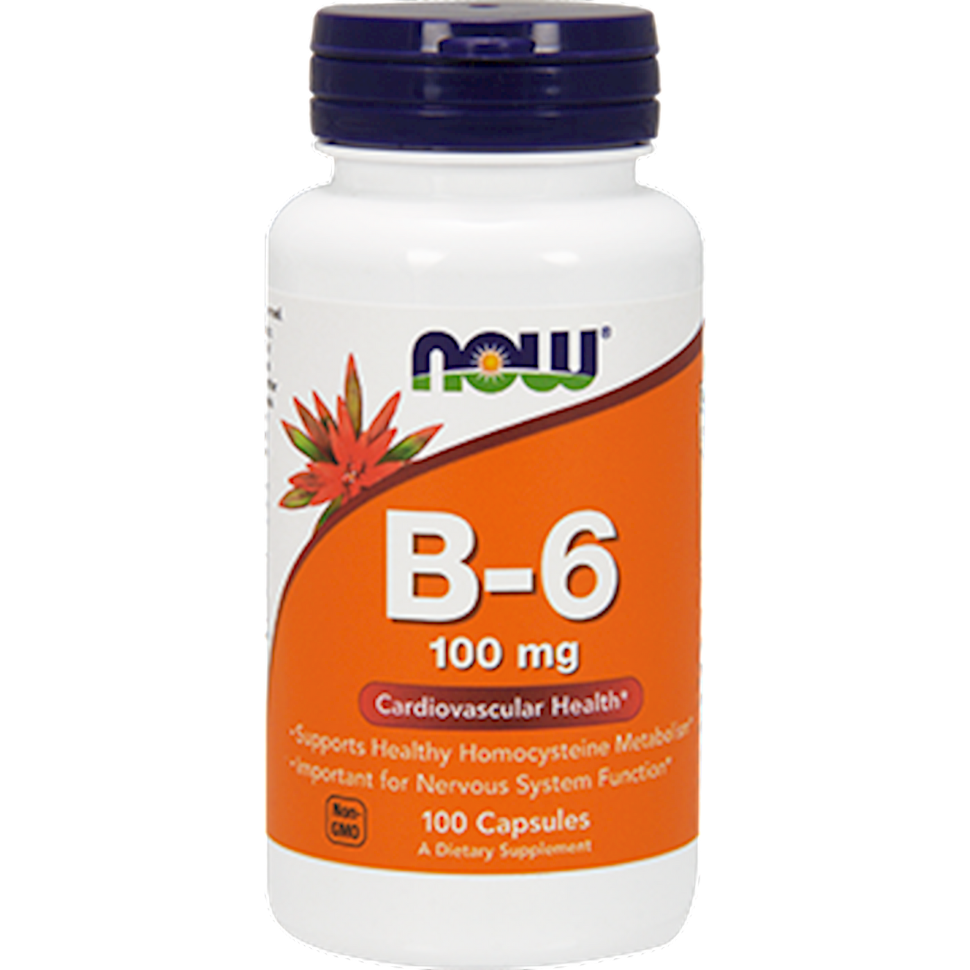 B-6 100 mg  Curated Wellness