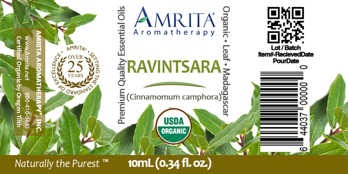 Ravintsara (Organic)  Curated Wellness