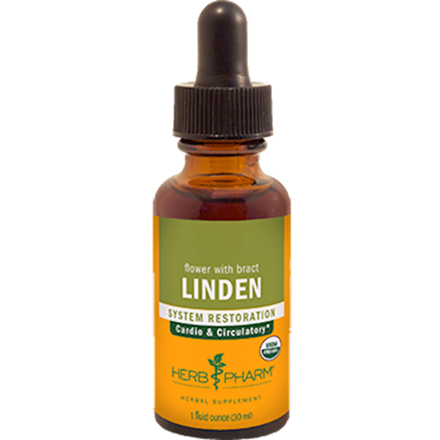 Linden  Curated Wellness