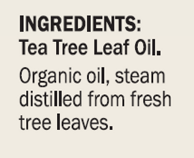 Organic Tea Tree Essential Oil 1 fl oz Curated Wellness