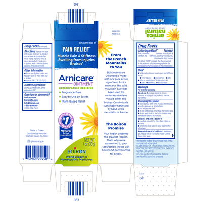 Arnicare Ointment  Curated Wellness