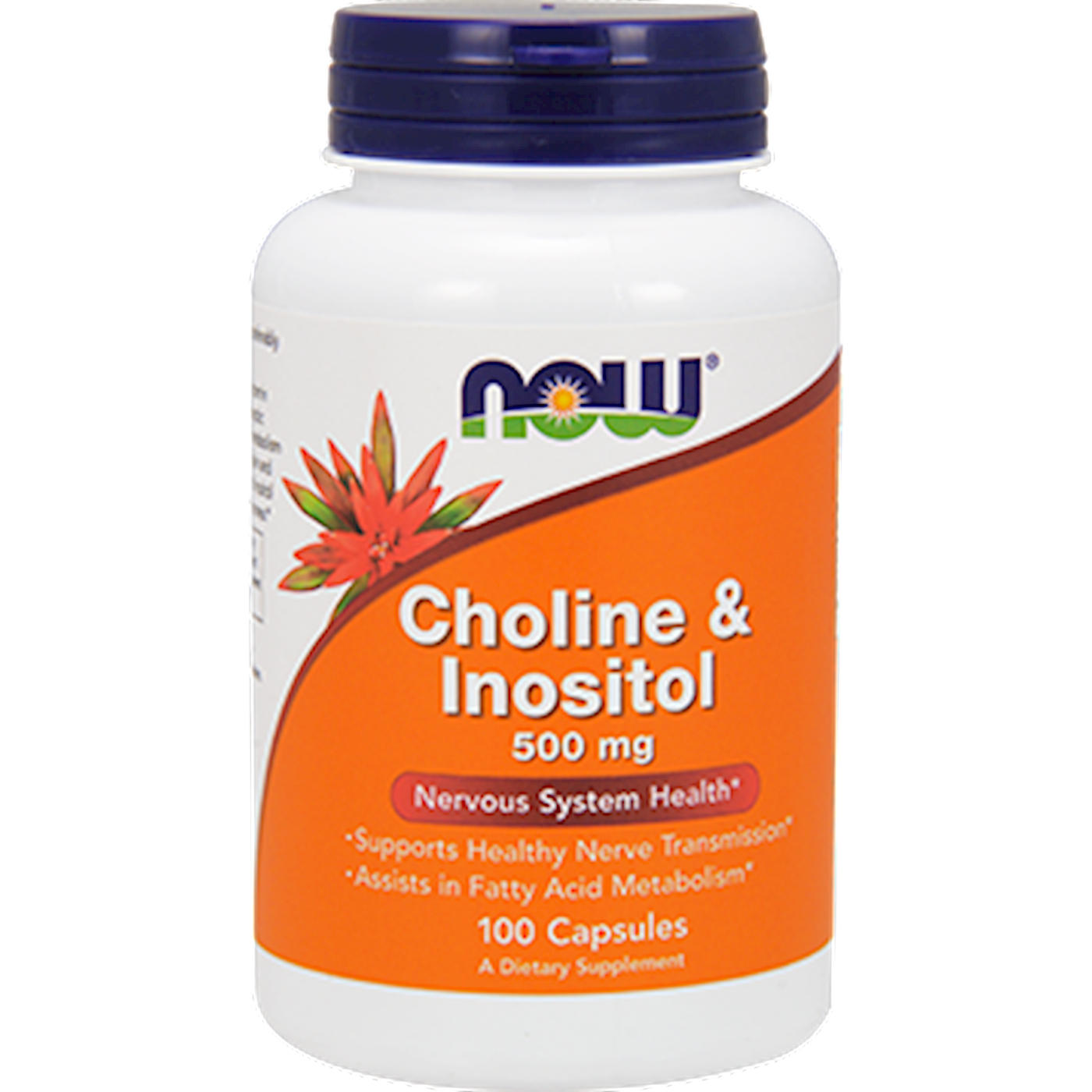Choline & Inositol 500 mg  Curated Wellness