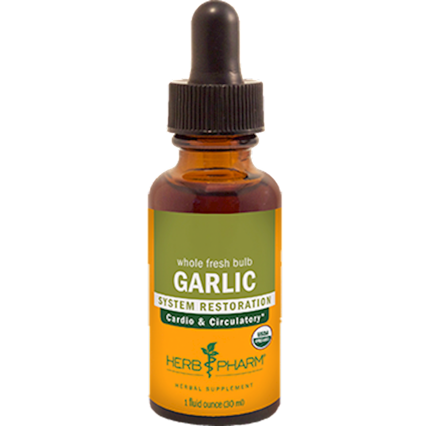 Garlic  Curated Wellness