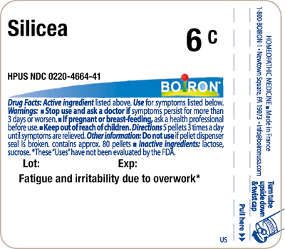 Sepia 6C 80 plts Curated Wellness