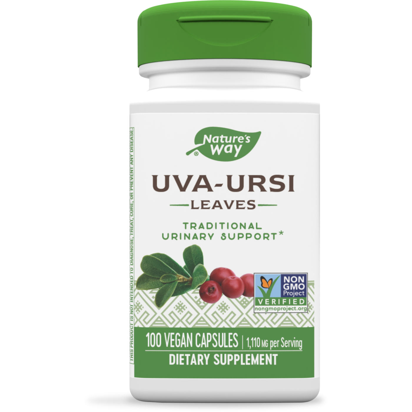 Uva Ursi Leaves  Curated Wellness