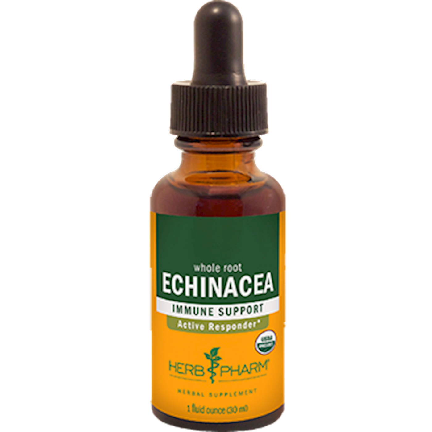 Echinacea  Curated Wellness