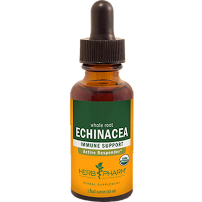 Echinacea  Curated Wellness