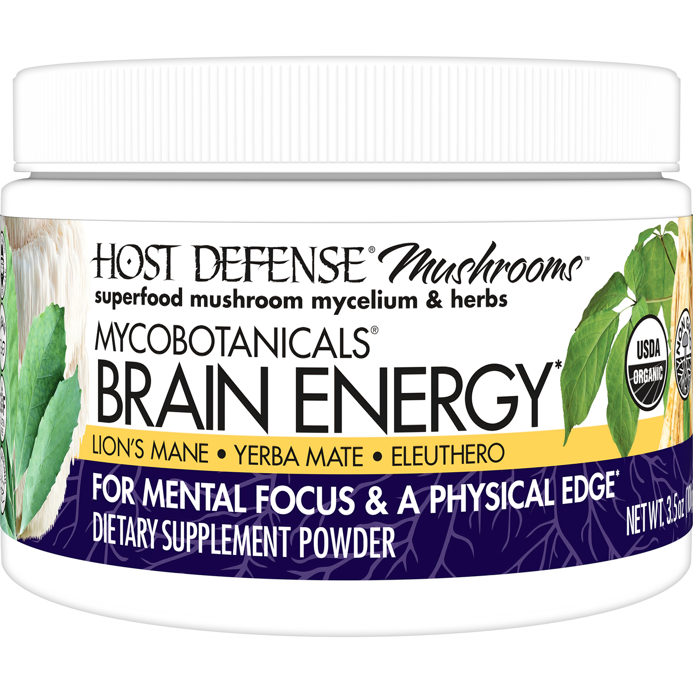 Brain Energy Mushroom Myc ings Curated Wellness