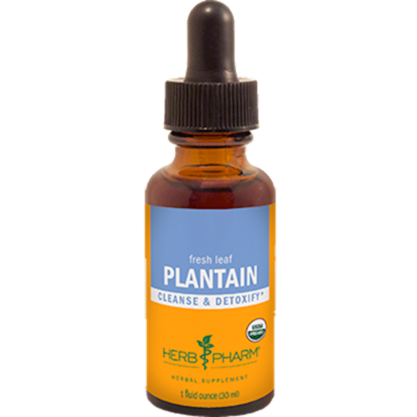 Plantain  Curated Wellness