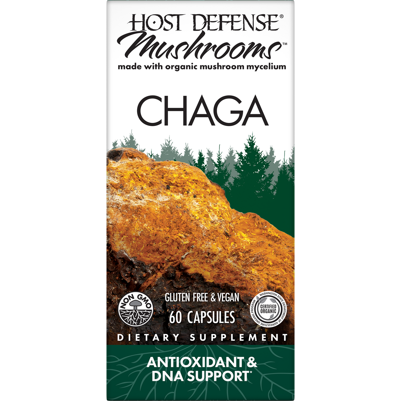 Chaga Capsules  Curated Wellness