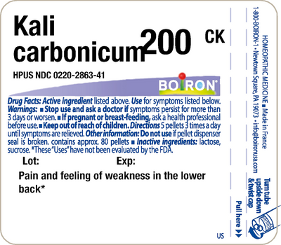 Kali carbonicum 200CK 80 plts Curated Wellness