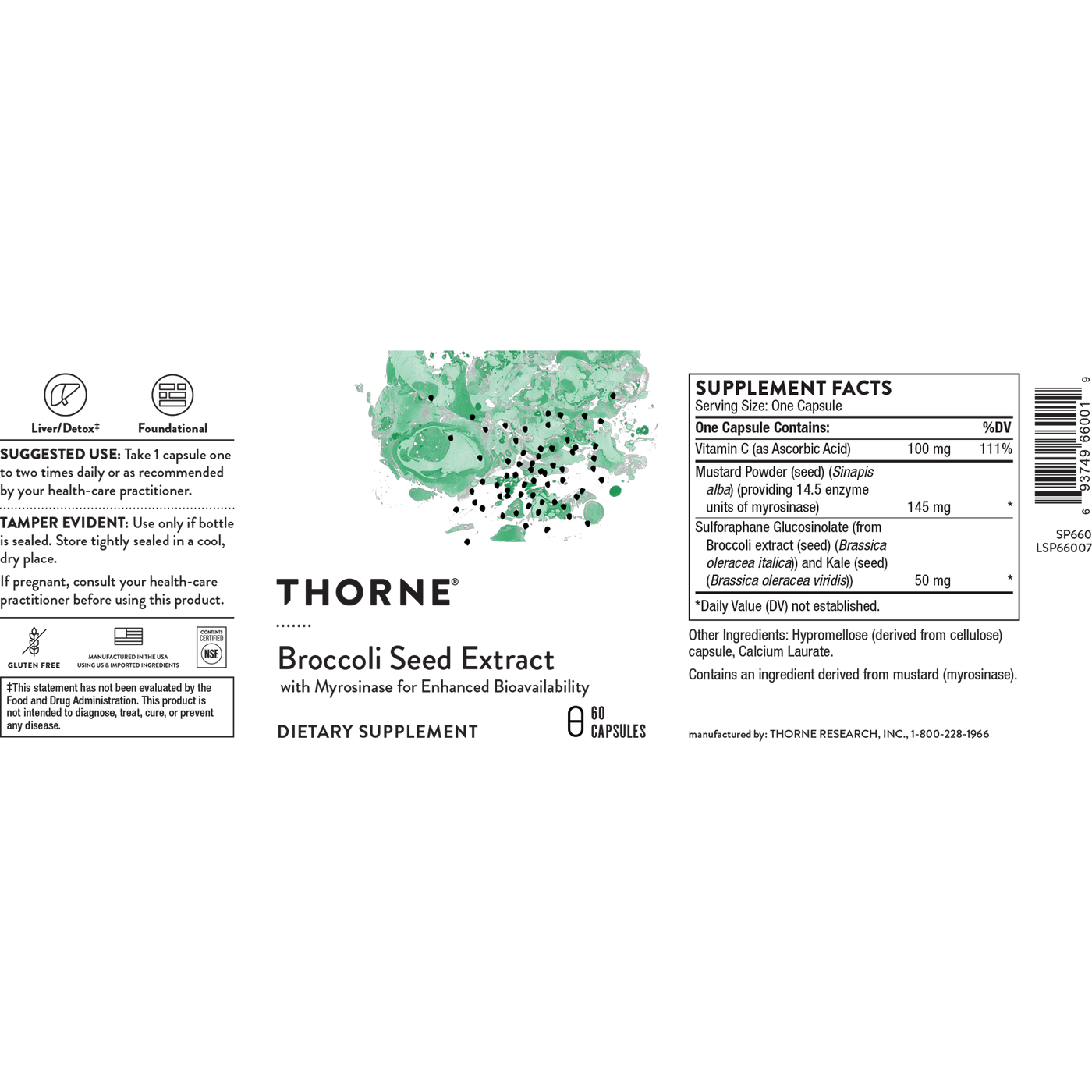 Broccoli Seed Extract 60c Curated Wellness