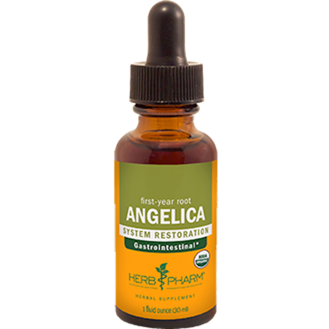 Angelica  Curated Wellness