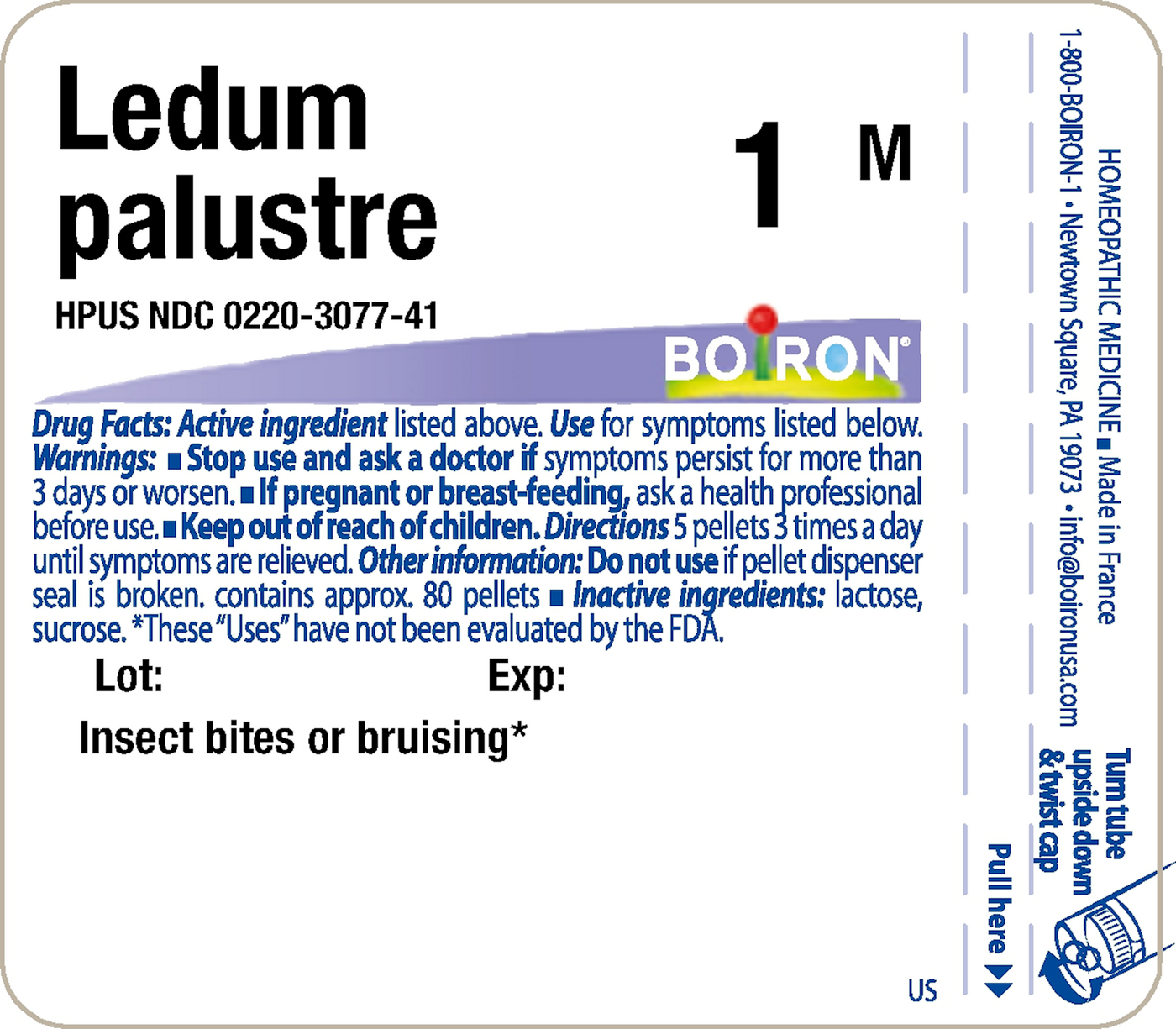 Ledum palustre 1M 80 plts Curated Wellness