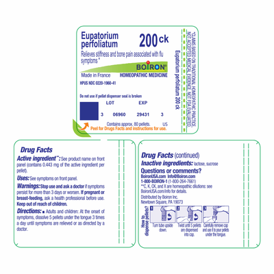 Eupatorium perfoliatum 200CK 80 plts Curated Wellness