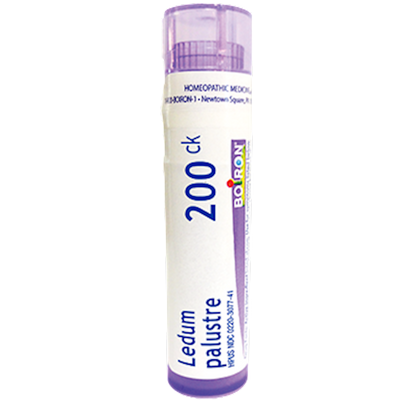 Ledum palustre 200CK 80 plts Curated Wellness