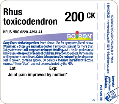 Rhus toxicodendron 200CK 80 plts Curated Wellness