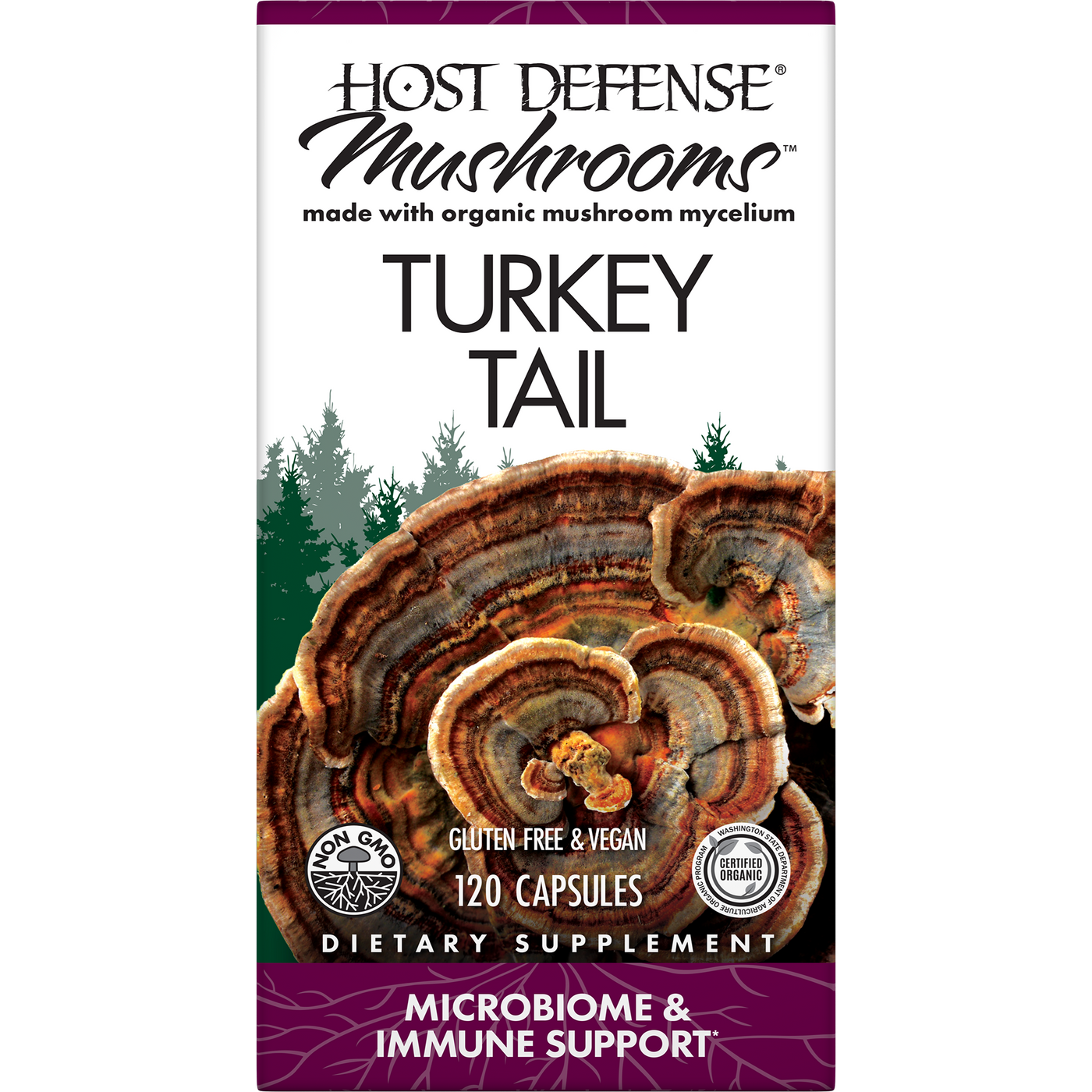 Turkey Tail Capsules  Curated Wellness
